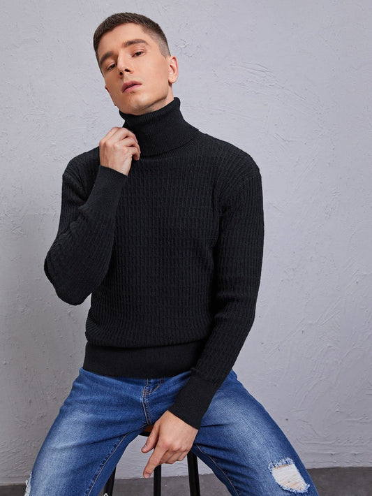 Black Solid Turtleneck High Stretch Sweater