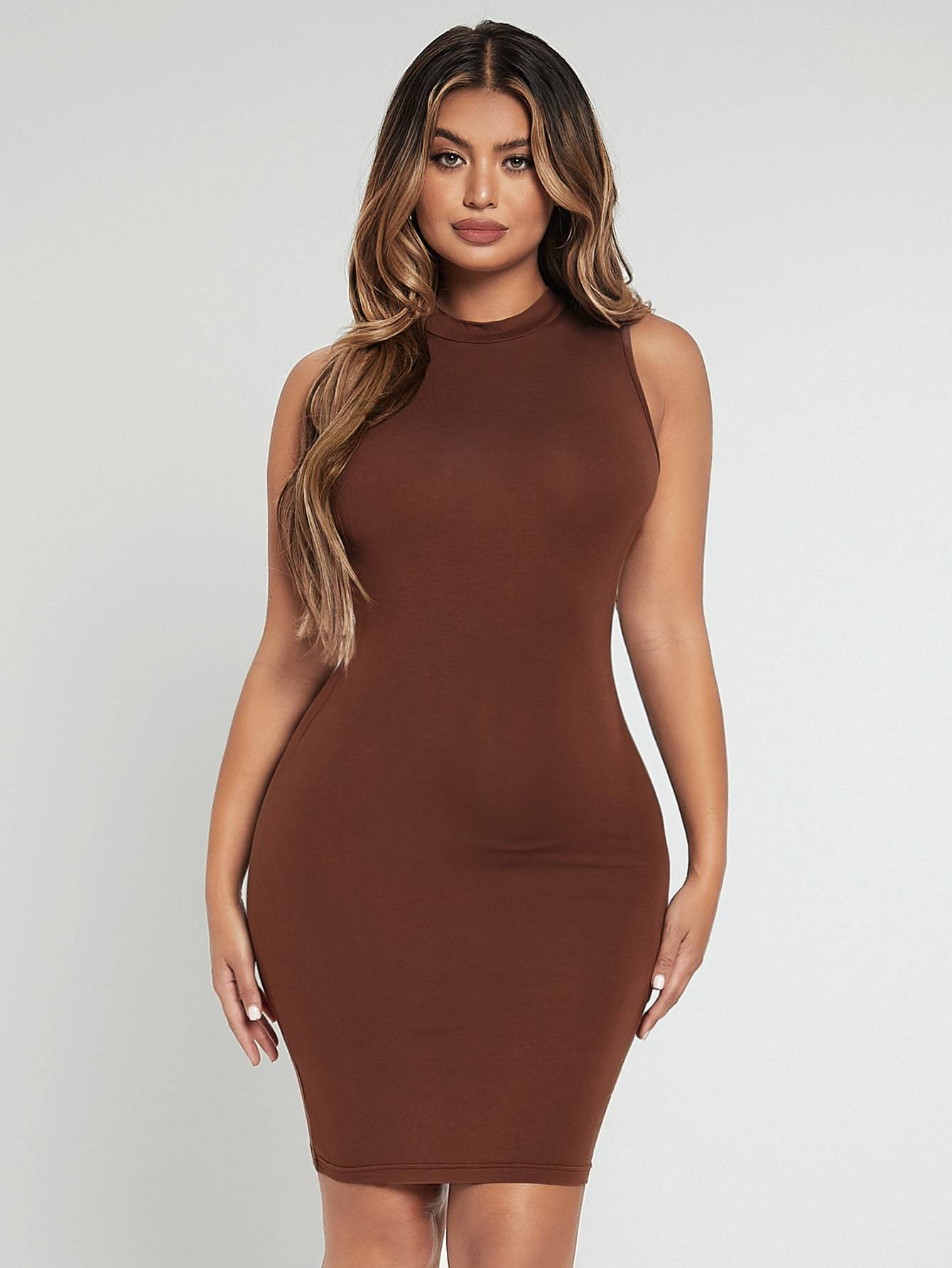 Brown Stand Collar Sleeveless Solid Slim Fit Dress