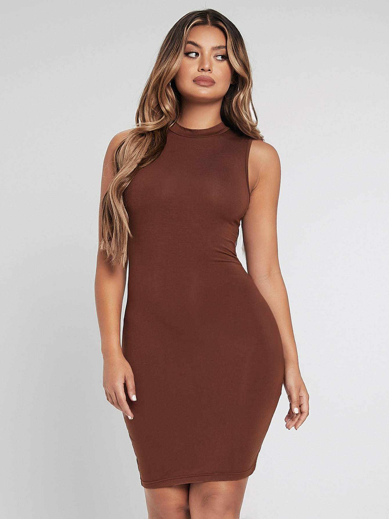 Brown Stand Collar Sleeveless Solid Slim Fit Dress