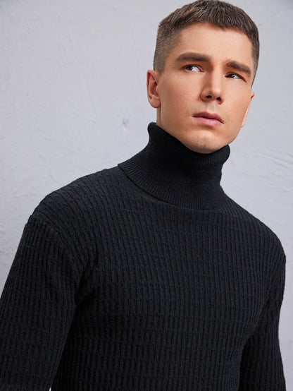 Black Solid Turtleneck High Stretch Sweater