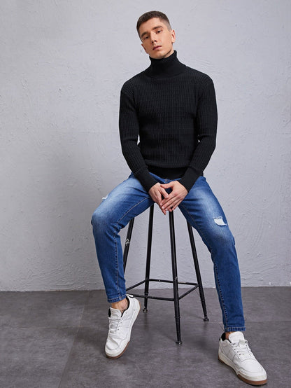 Black Solid Turtleneck High Stretch Sweater