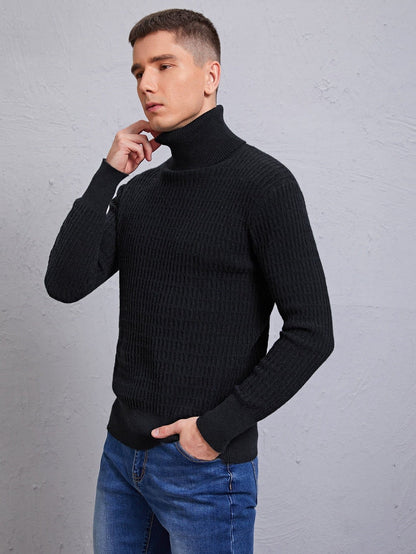 Black Solid Turtleneck High Stretch Sweater