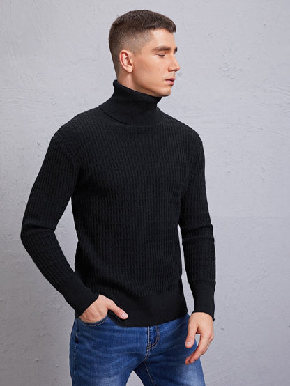 Black Solid Turtleneck High Stretch Sweater