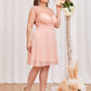 Plus Baby Pink Round Neck Chiffon Contrast Embroidery Mesh Prom Dress