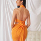 Sleeveless Tied Open Back 1 Halter Top and Drawstring Ruched Skirt Set