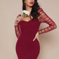 Ruched Sheer Mesh Gigot Sleeve Slim Fit Dress