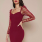 Ruched Sheer Mesh Gigot Sleeve Slim Fit Dress