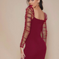 Ruched Sheer Mesh Gigot Sleeve Slim Fit Dress