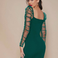 Ruched Sheer Mesh Gigot Sleeve Slim Fit Dress