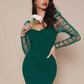 Ruched Sheer Mesh Gigot Sleeve Slim Fit Dress
