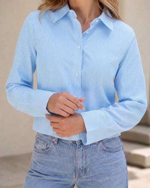 Spread Collar Full Sleeve Dart Detail Striped Shirt